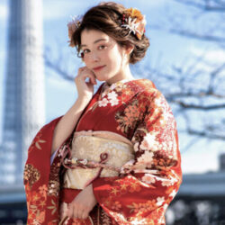 แพลนฟูริโซเดะผ้าไหม