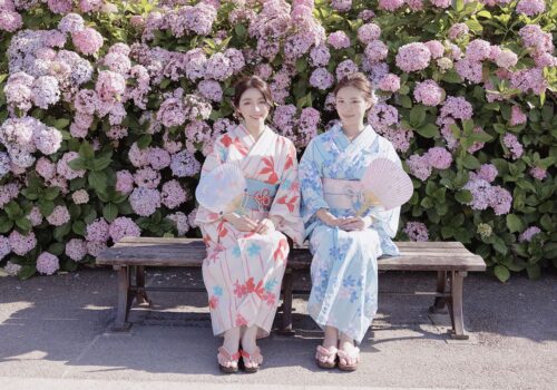 image_(日本語) Y33