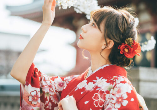 image_(日本語) F67