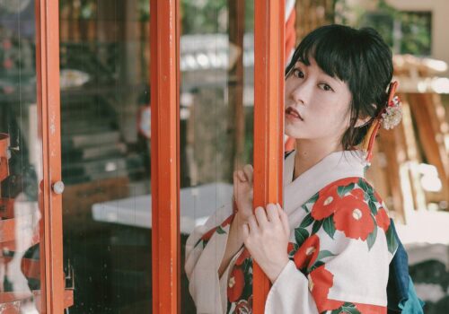 image_(日本語) Y113