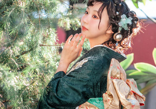 image_(日本語) F22