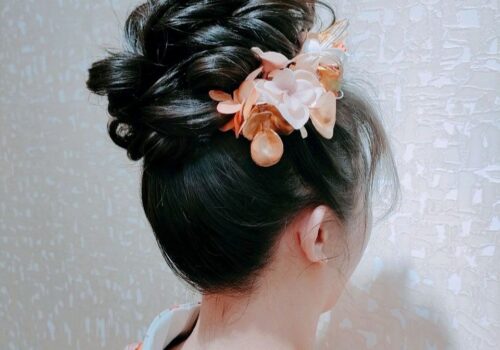 image_(日本語) H25