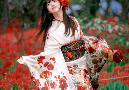 image_(日本語) HF2