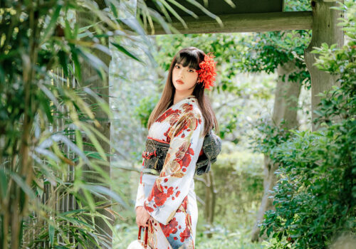 image_(日本語) HF4