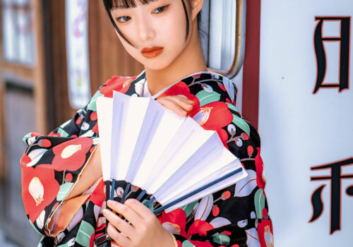 image_(日本語) K16