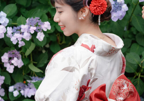 image_(日本語) K48