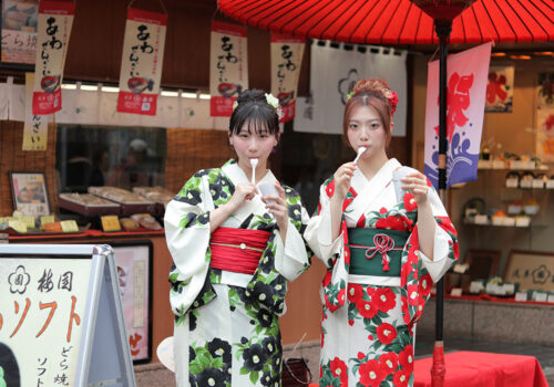 image_(日本語) Y7