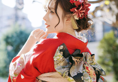 image_(日本語) F22