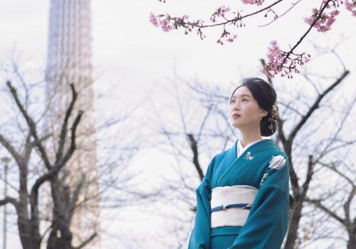 image_(日本語) PH10