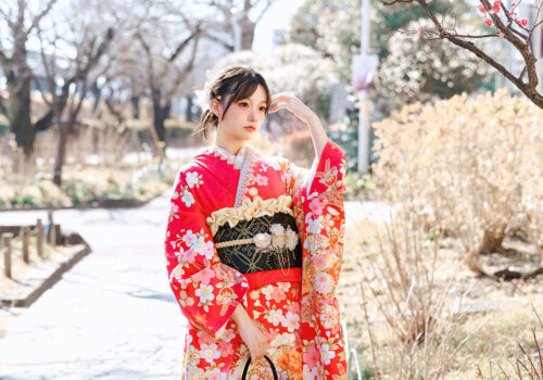 image_(日本語) HF17