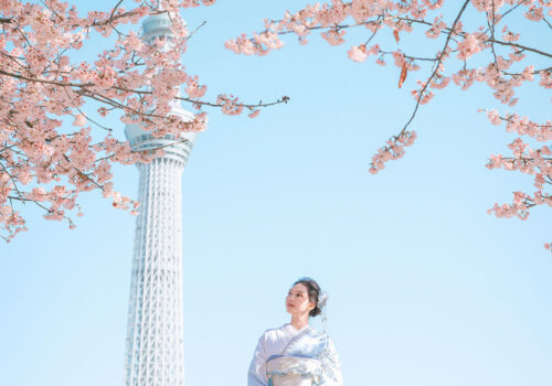 image_(日本語) SK1