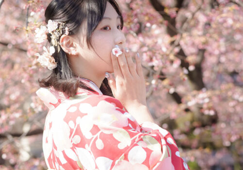 image_(日本語) SK5