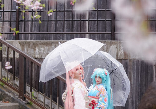 image_fu3
