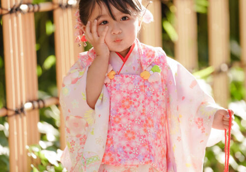 image_K2